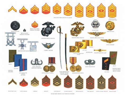 Marine Corps Uniforms & Symbols .
